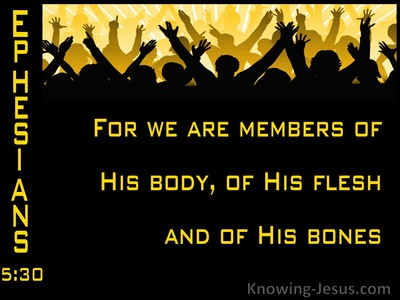 Ephesians 5:30 Members Of His Body And His Bones (yellow)